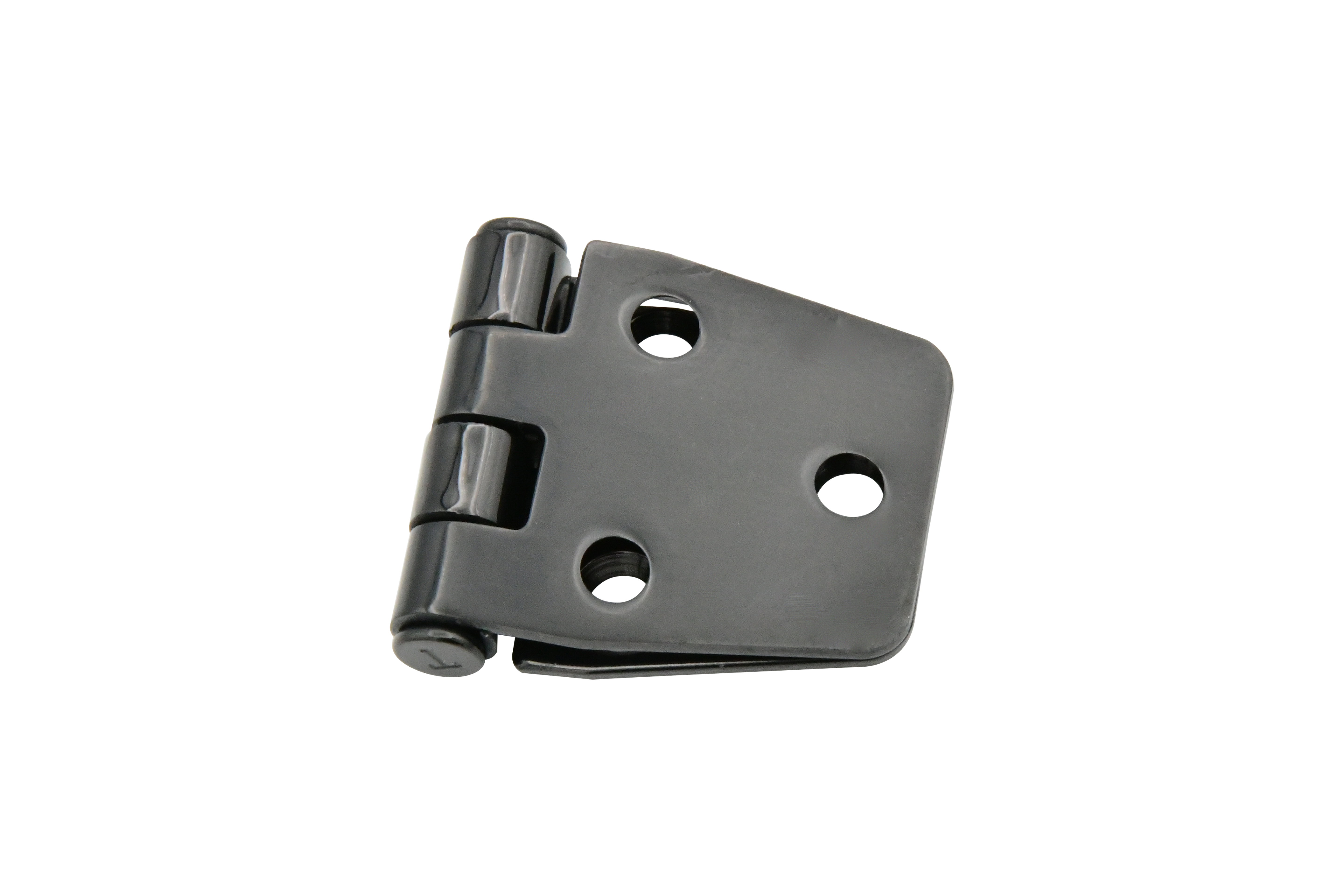 Vinland Marine PVD SS Marine Hing Close View 2 (S2345B)