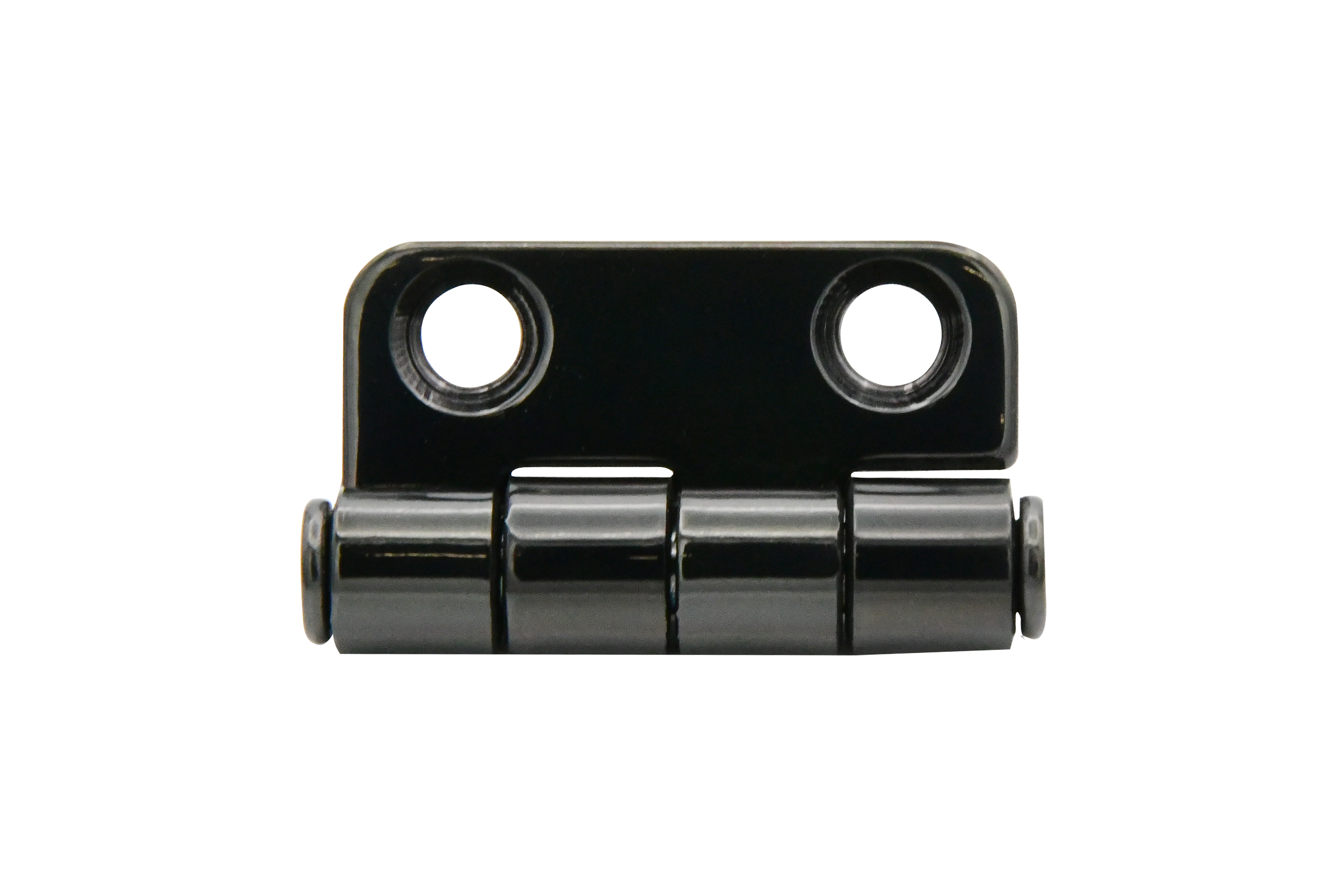 Vinland Marine PVD SS Marine Hinge Close View 3 (S2387B)