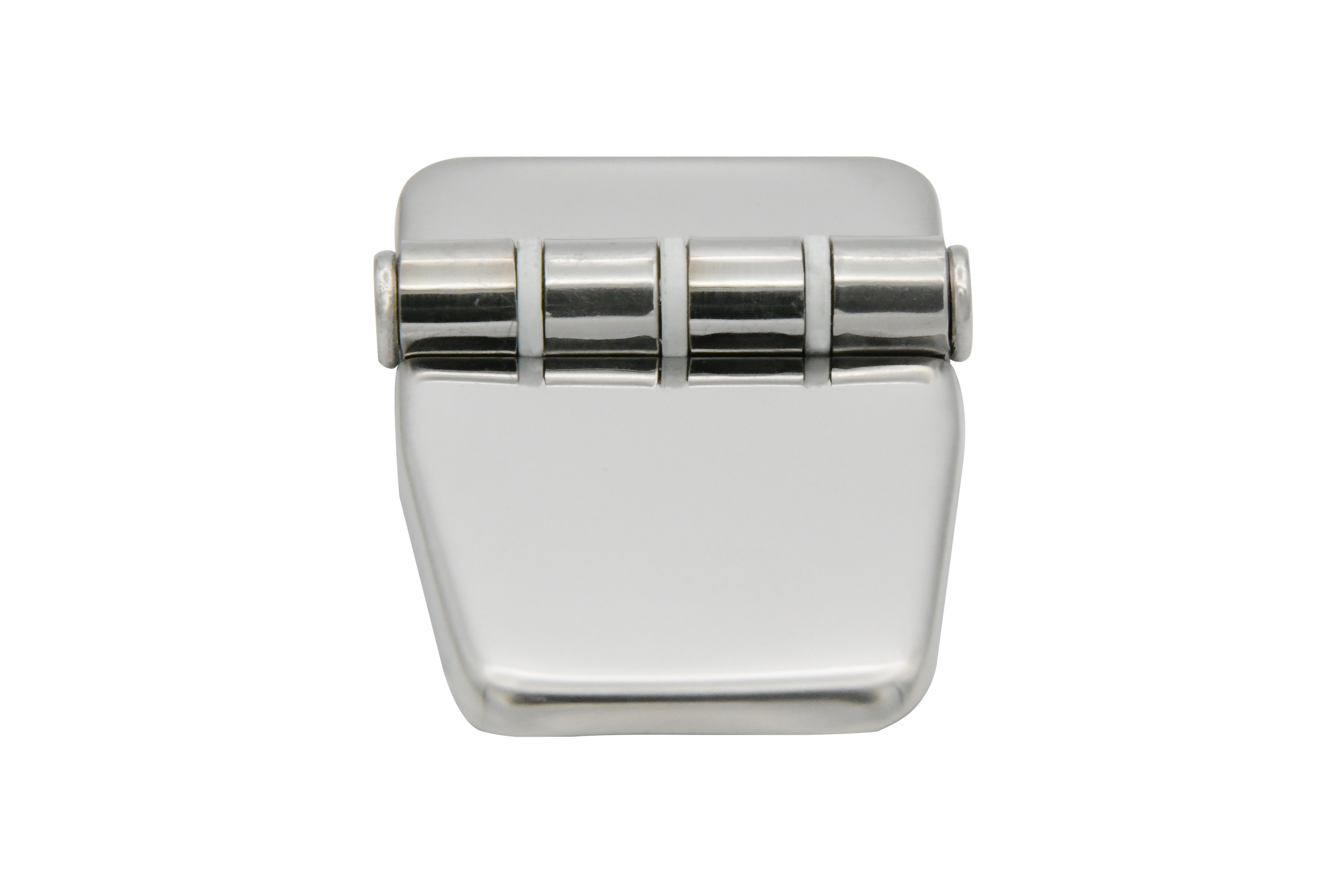 Vinland Marine PVD SS Short-side Marine Friction Hinge w/Cover Front View (S9385ACQ)